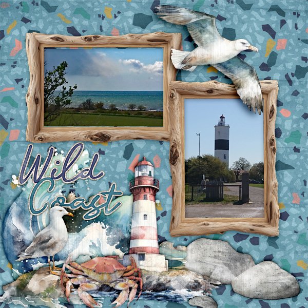Wild-coast.jpg