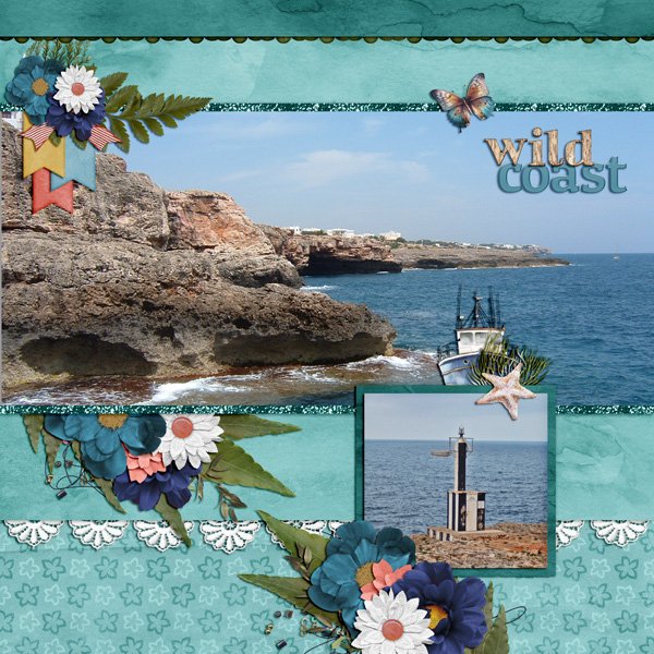 wild coast