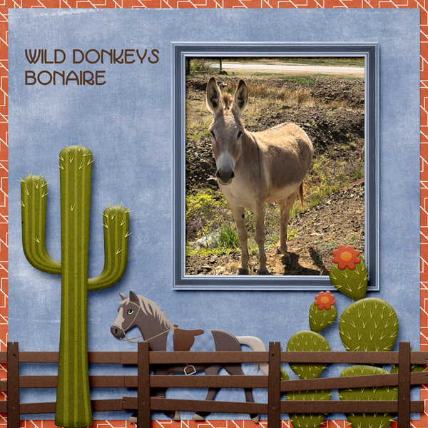 Wild Donkeys
