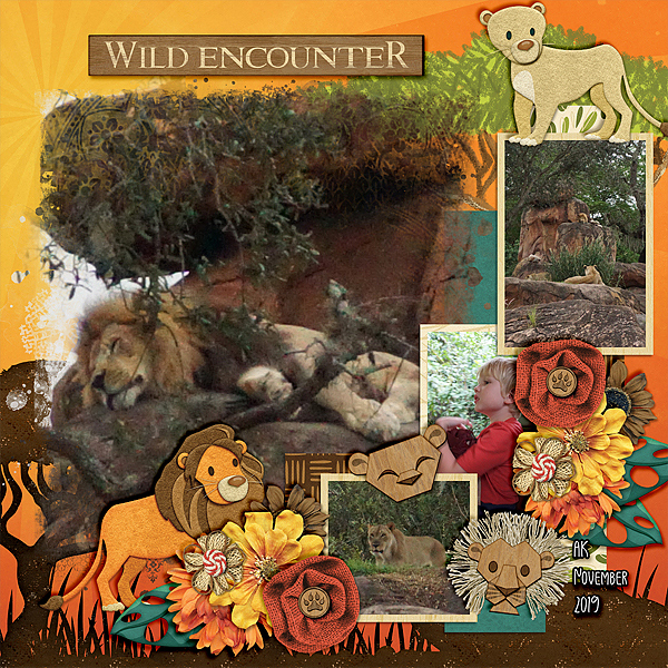 wild-encounter-1119