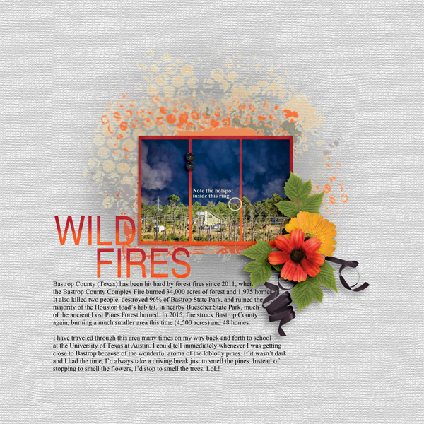WILD FIRES