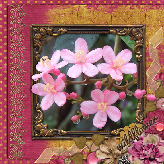 Wild Flower