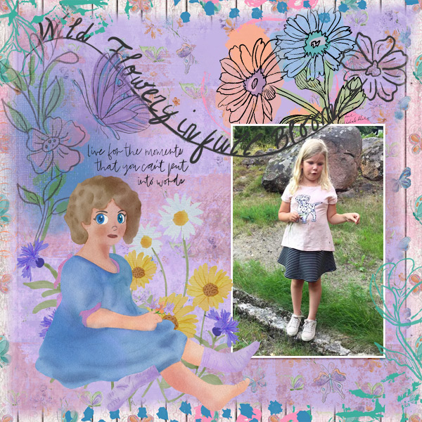 Wild-flowers-in-full-bloom
