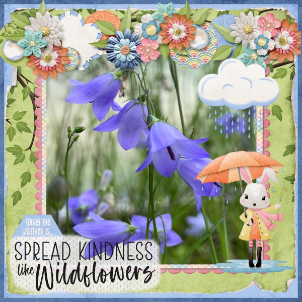 Wild Flowers.jpg