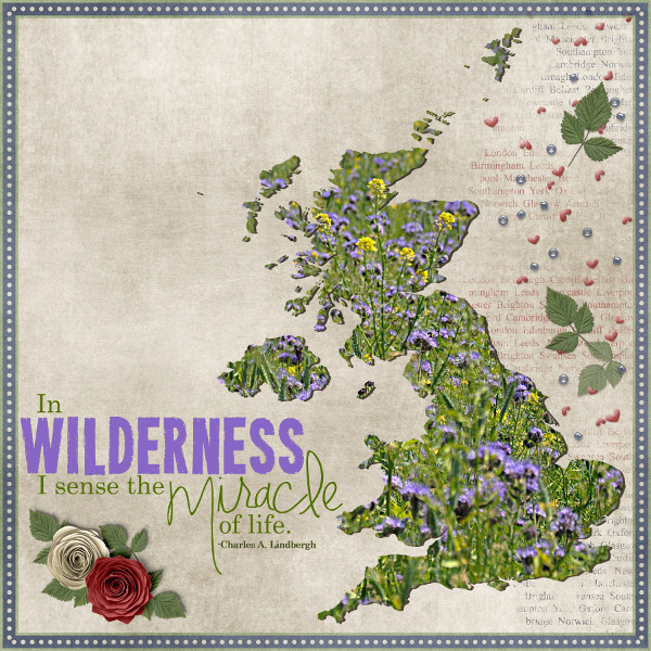 Wild Flowers
