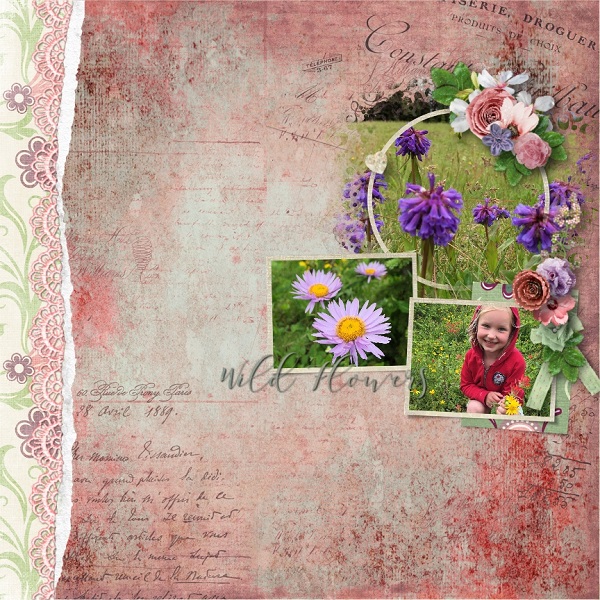 Wild Flowers