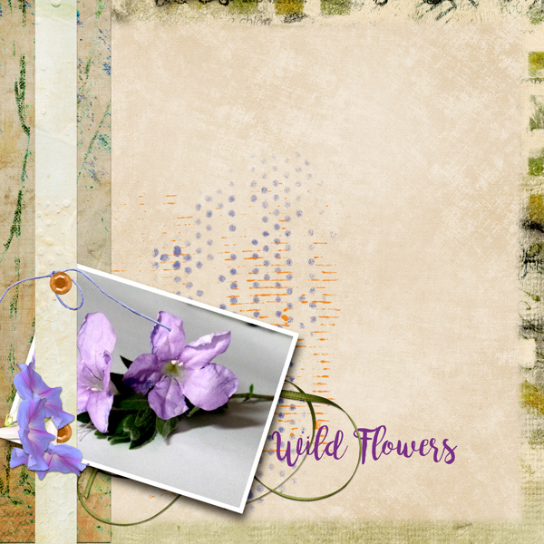 wild flowers