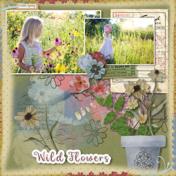 Wild Flowers
