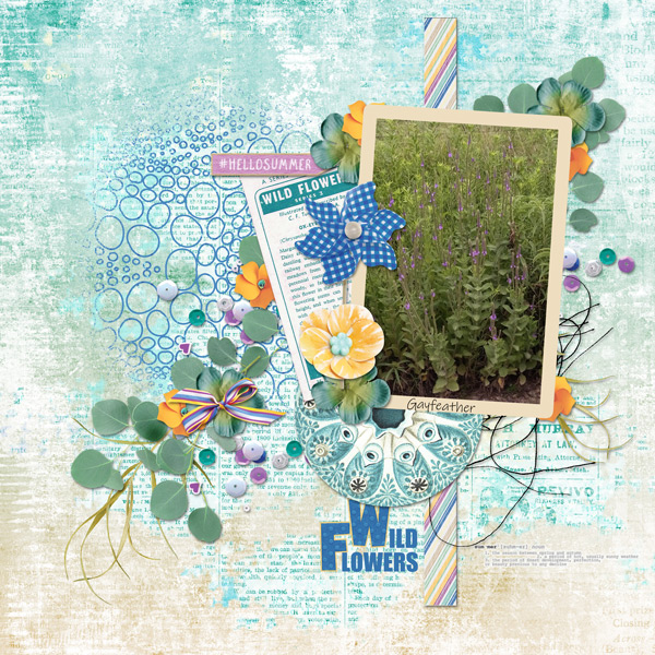 Wild Flowers