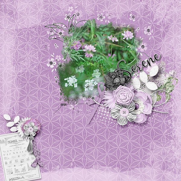 Wild Flowers