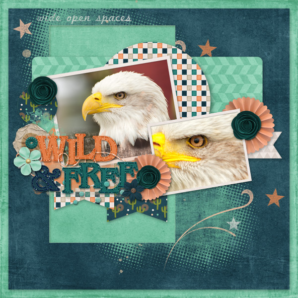 Wild + Free