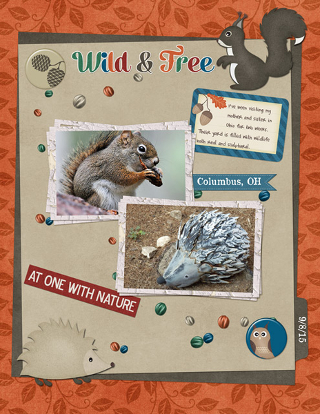 Wild + Free
