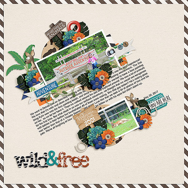 Wild + Free