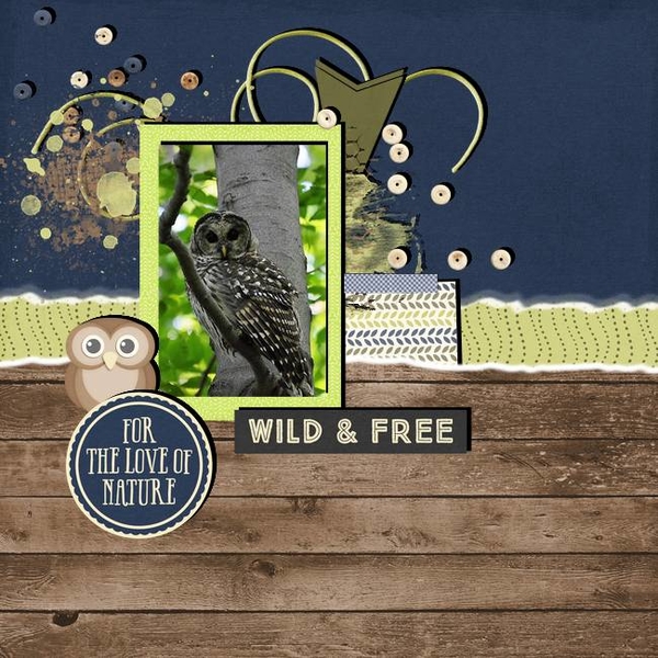 Wild + Free