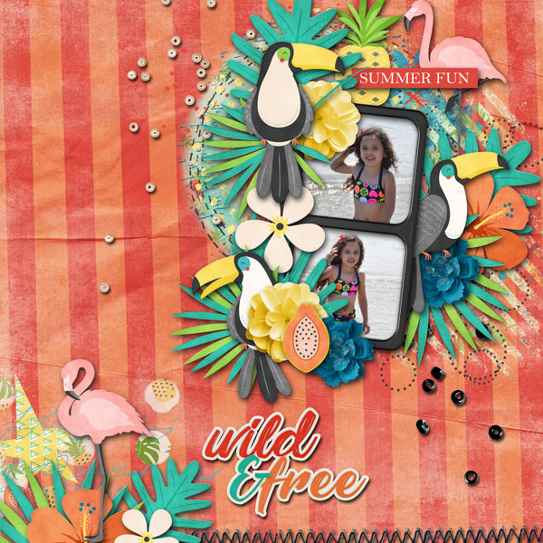 Wild + Free