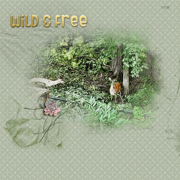 Wild + Free