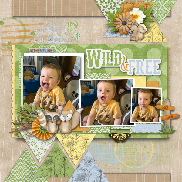 Wild + Free