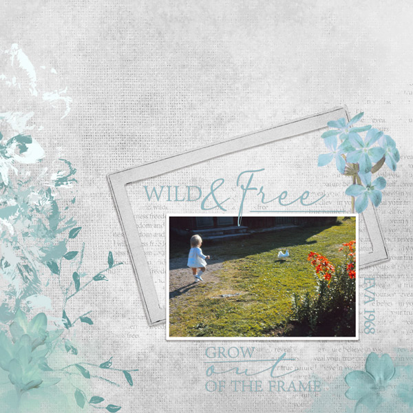 Wild + Free