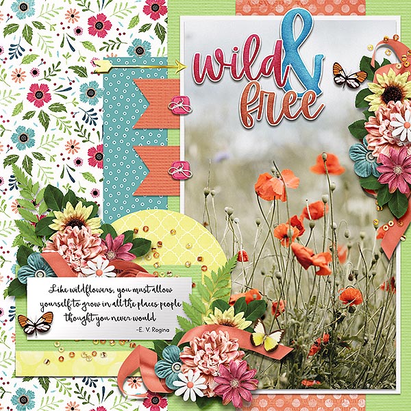 wild + free