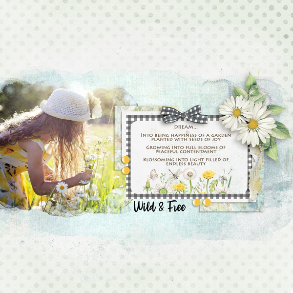 Wild + Free