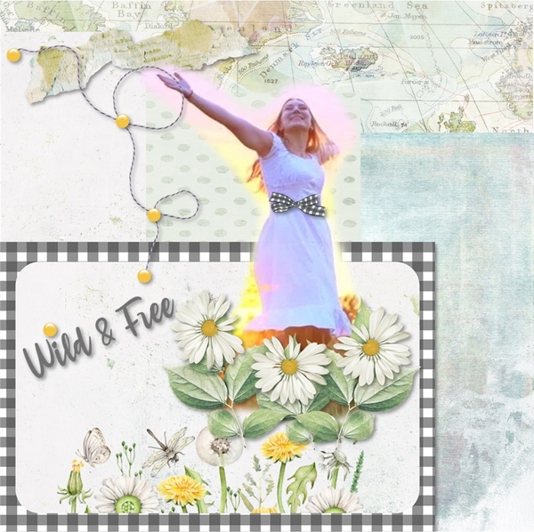 Wild + Free