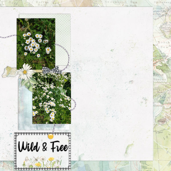 Wild + Free