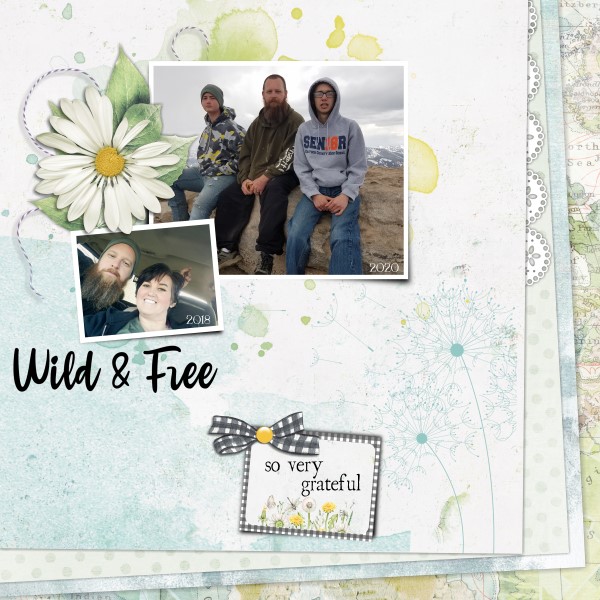 Wild + Free