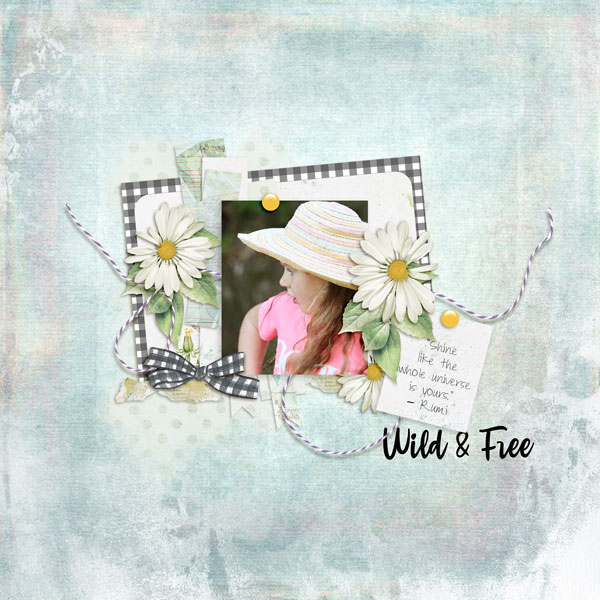 Wild + Free
