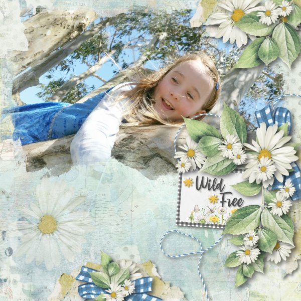 wild free