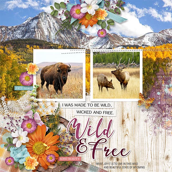 WILD + FREE
