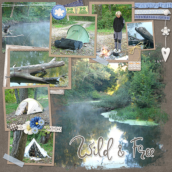Wild + Free