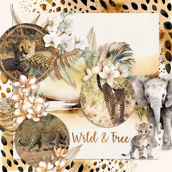 Wild + Free