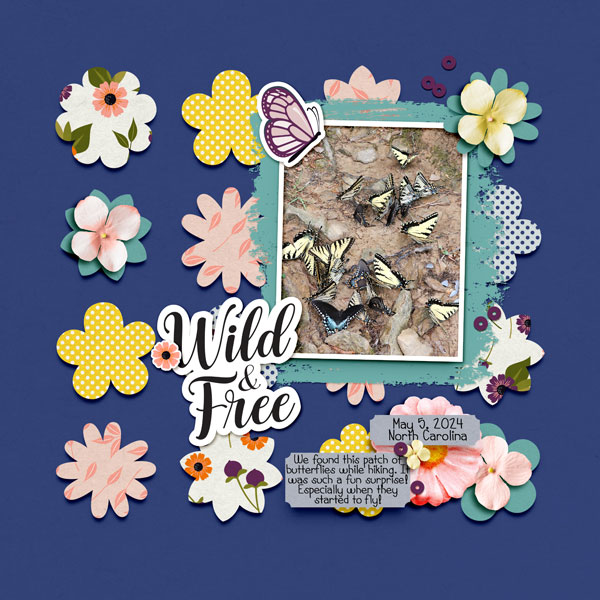 Wild + Free