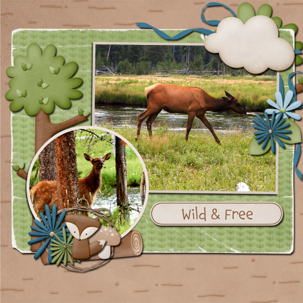 Wild + Free