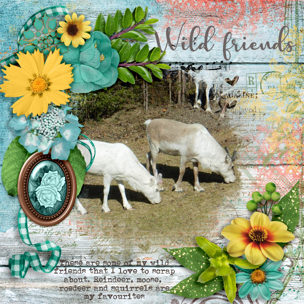 Wild-friends1