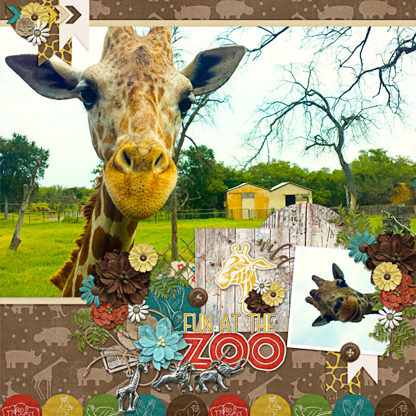 wild giraffes xd