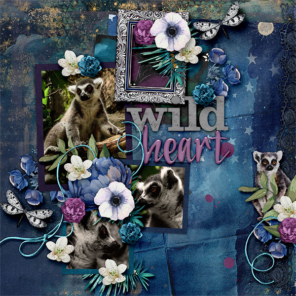 Wild Heart
