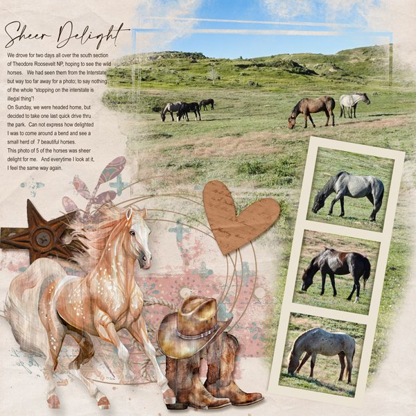 Wild-horses- Sheer-Delight.jpg