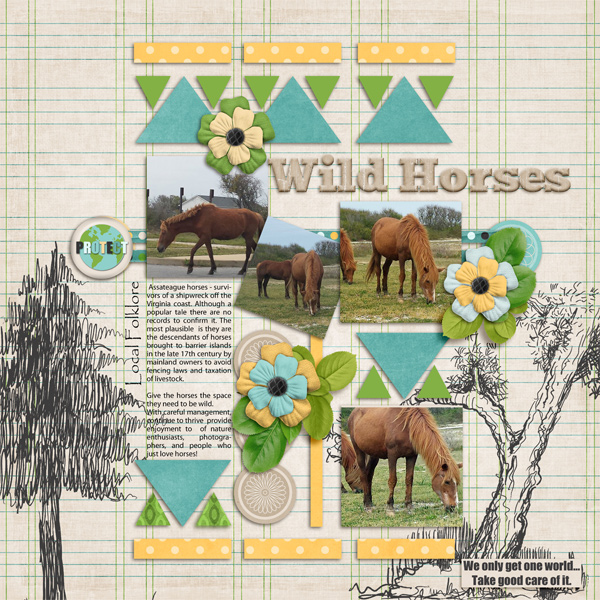 Wild Horses