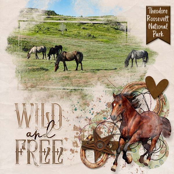 Wild Horses