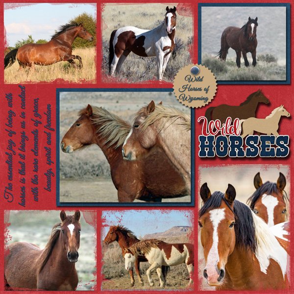 Wild Horses