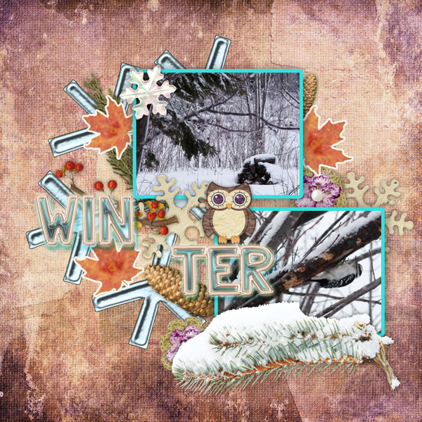 Wild In Winter