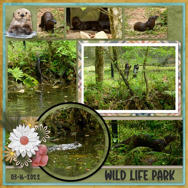 Wild Life.jpg