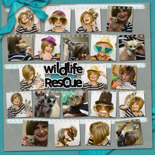 Wild Life Rescue - Page 2
