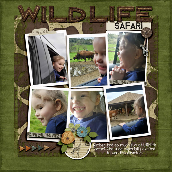 Wild Life Safari Kimber