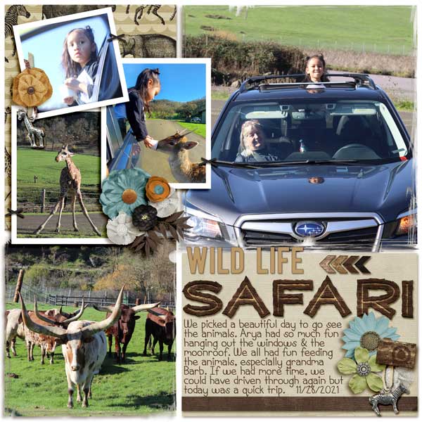 Wild Life Safari
