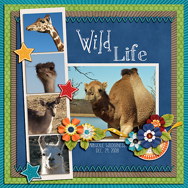 Wild Life