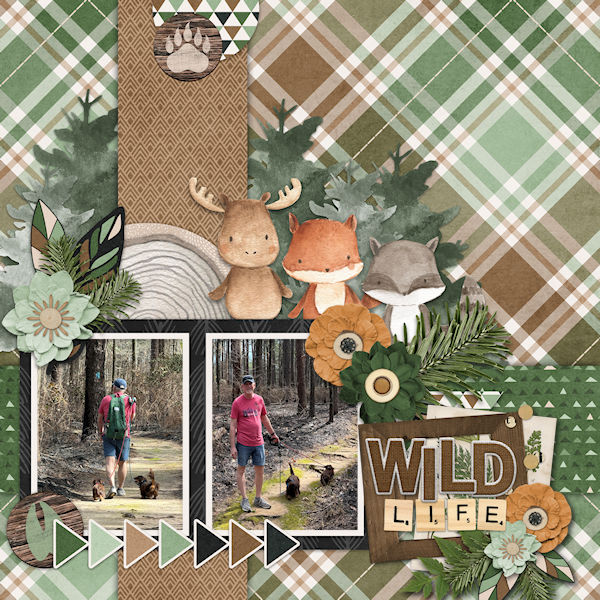 Wild Life