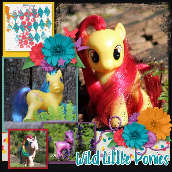 Wild Little Ponies