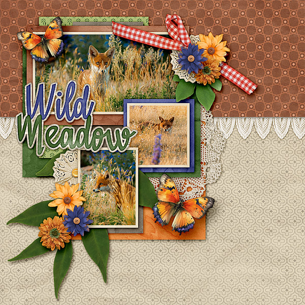 Wild Meadow